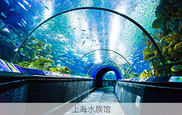 上海水族馆