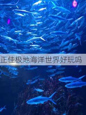 正佳极地海洋世界好玩吗