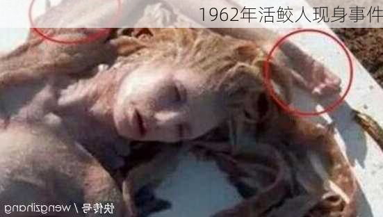 1962年活鲛人现身事件