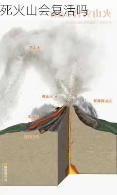 死火山会复活吗