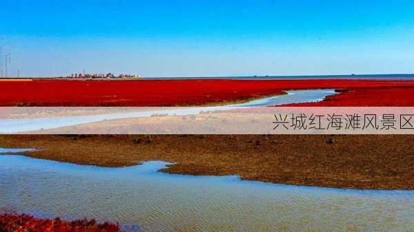 兴城红海滩风景区