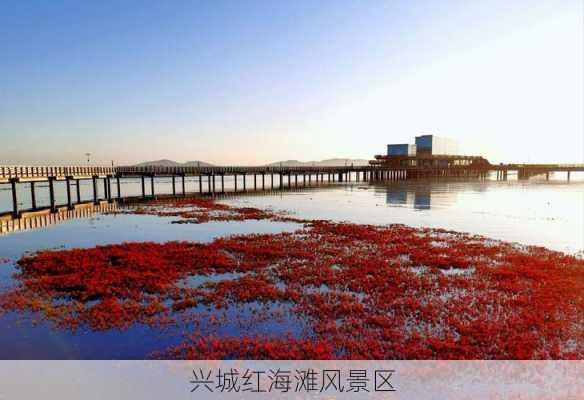 兴城红海滩风景区