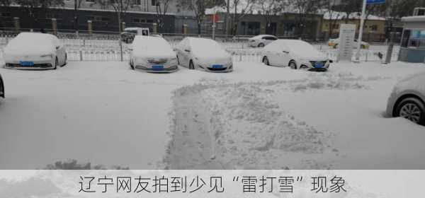 辽宁网友拍到少见“雷打雪”现象