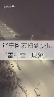 辽宁网友拍到少见“雷打雪”现象