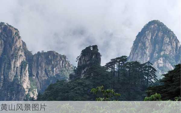 黄山风景图片