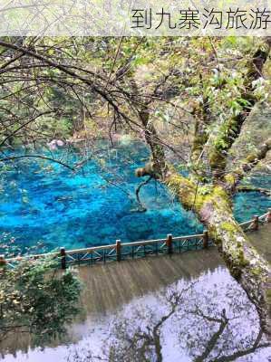 到九寨沟旅游