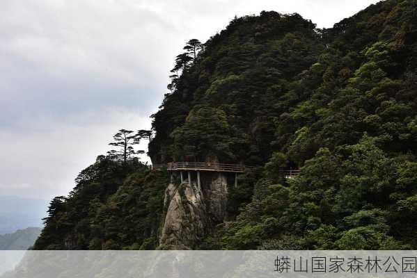 蟒山国家森林公园