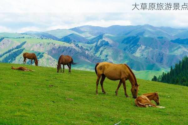 大草原旅游景点