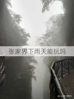 张家界下雨天能玩吗