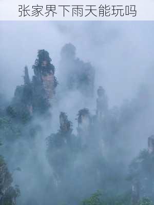 张家界下雨天能玩吗