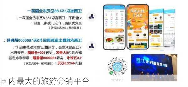 国内最大的旅游分销平台