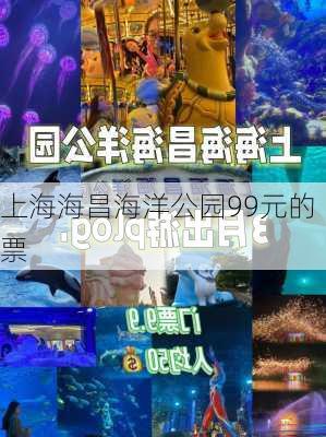 上海海昌海洋公园99元的票