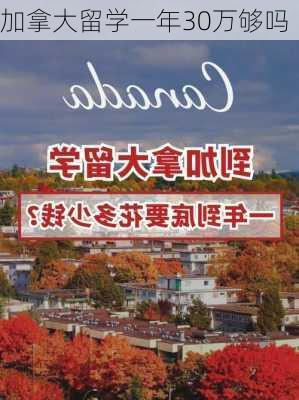 加拿大留学一年30万够吗