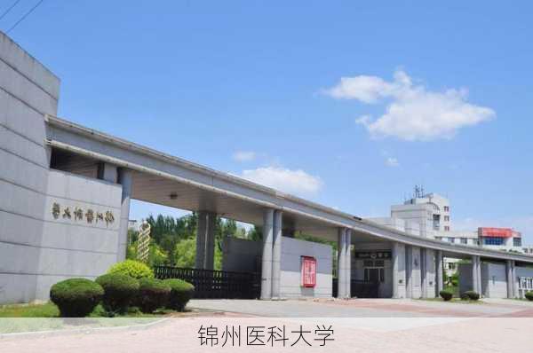 锦州医科大学