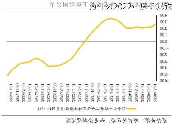 为什么2022年房价暴跌