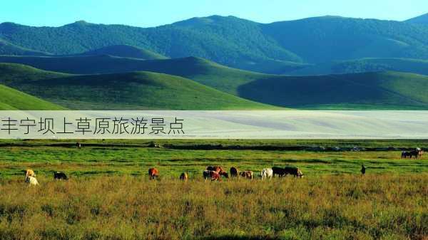 丰宁坝上草原旅游景点