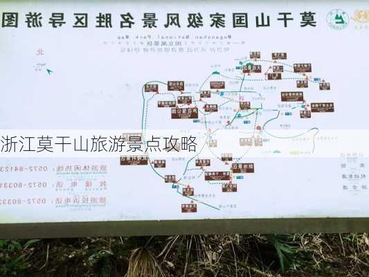 浙江莫干山旅游景点攻略