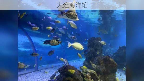 大连海洋馆