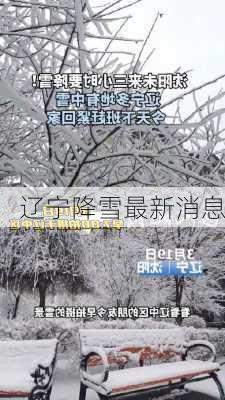 辽宁降雪最新消息