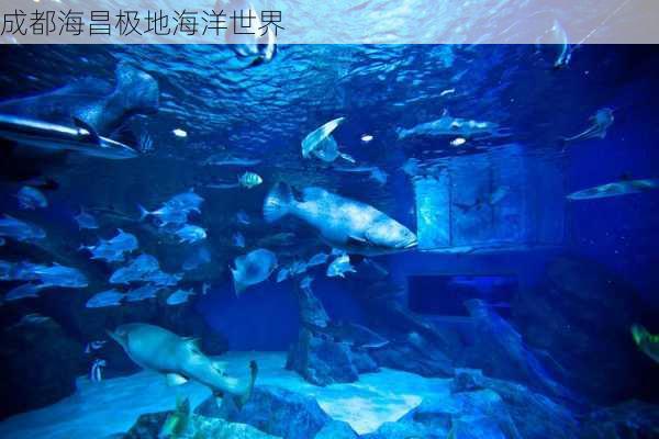 成都海昌极地海洋世界