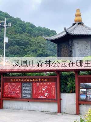 凤凰山森林公园在哪里