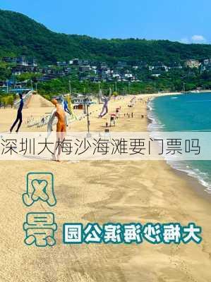 深圳大梅沙海滩要门票吗