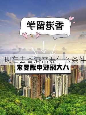 现在去香港需要什么条件