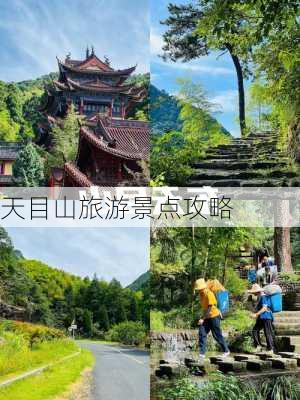 天目山旅游景点攻略