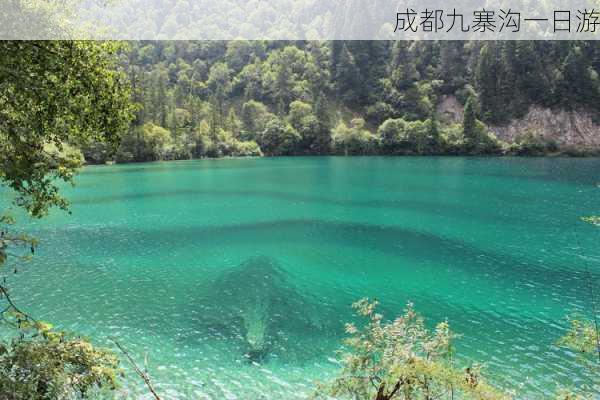 成都九寨沟一日游