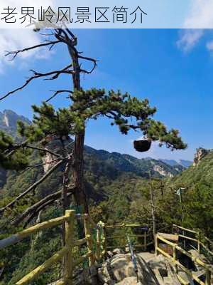 老界岭风景区简介