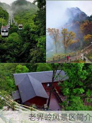 老界岭风景区简介