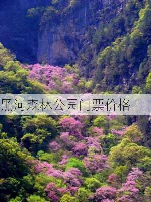 黑河森林公园门票价格