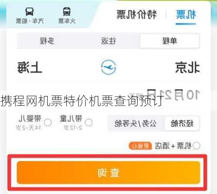 携程网机票特价机票查询预订
