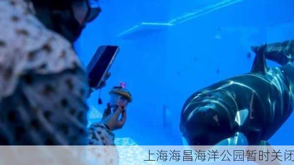 上海海昌海洋公园暂时关闭