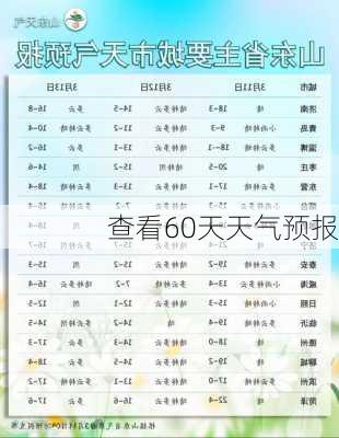 查看60天天气预报