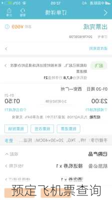 预定飞机票查询