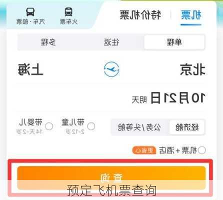 预定飞机票查询