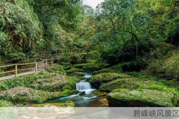 碧峰峡风景区