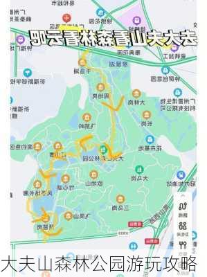 大夫山森林公园游玩攻略