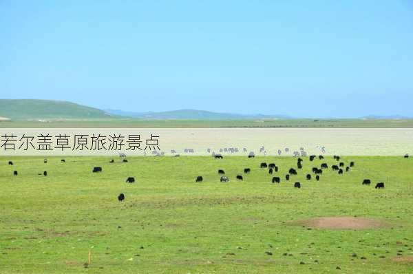 若尔盖草原旅游景点