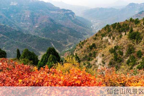 仙台山风景区