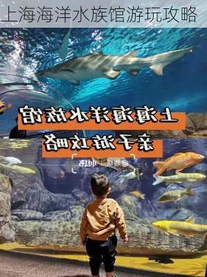 上海海洋水族馆游玩攻略