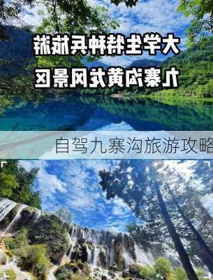 自驾九寨沟旅游攻略