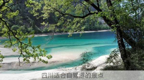 四川适合自驾游的景点