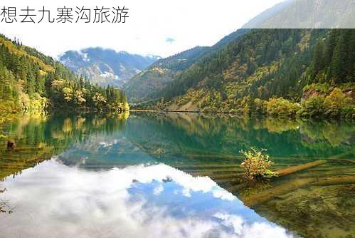 想去九寨沟旅游