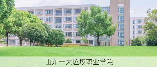 山东十大垃圾职业学院