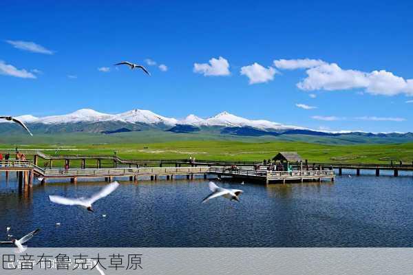 巴音布鲁克大草原