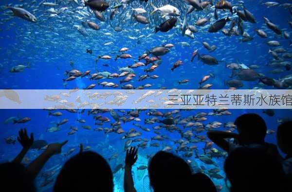 三亚亚特兰蒂斯水族馆