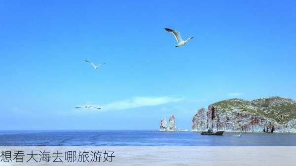 想看大海去哪旅游好