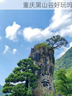 重庆黑山谷好玩吗